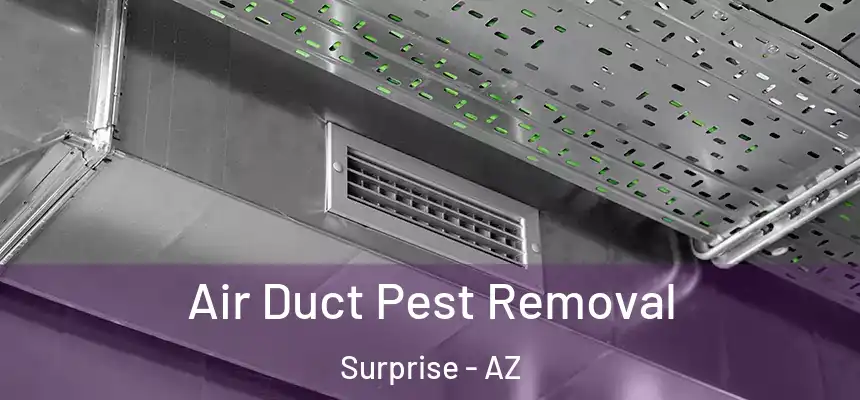  Air Duct Pest Removal Surprise - AZ