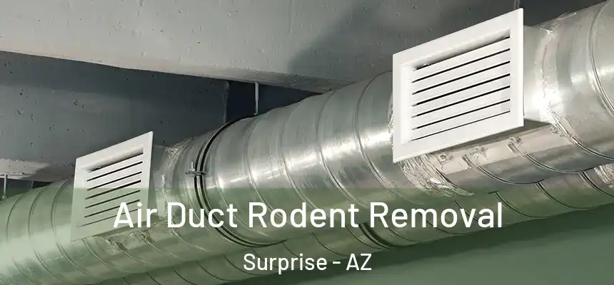  Air Duct Rodent Removal Surprise - AZ
