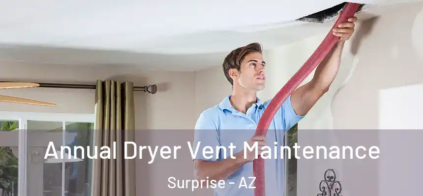  Annual Dryer Vent Maintenance Surprise - AZ