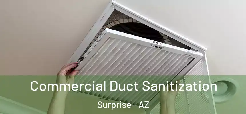 Commercial Duct Sanitization Surprise - AZ