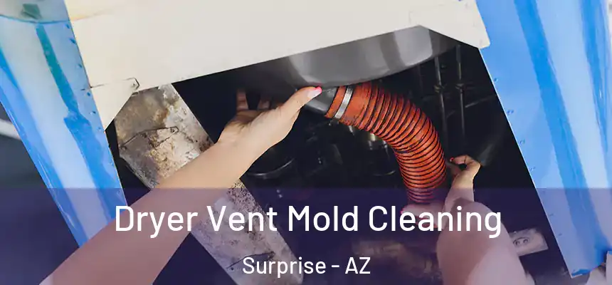  Dryer Vent Mold Cleaning Surprise - AZ