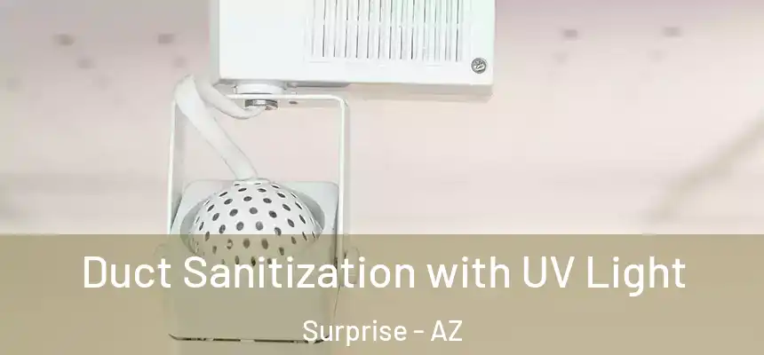 Duct Sanitization with UV Light Surprise - AZ