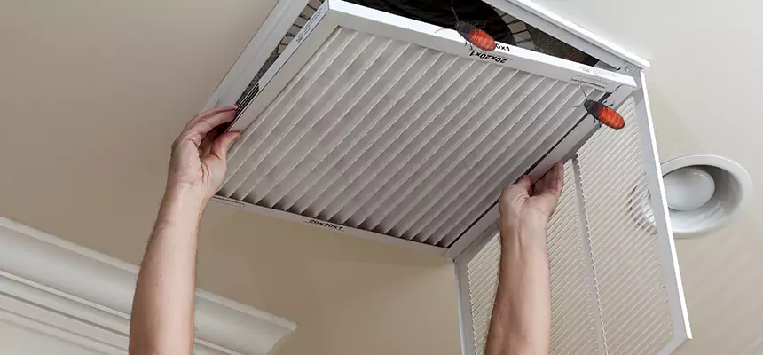 Preventive Cockroach-Proofing for Ducts in Surprise