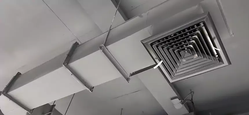 Our Pest Removal From Ducts Services in Surprise, AZ