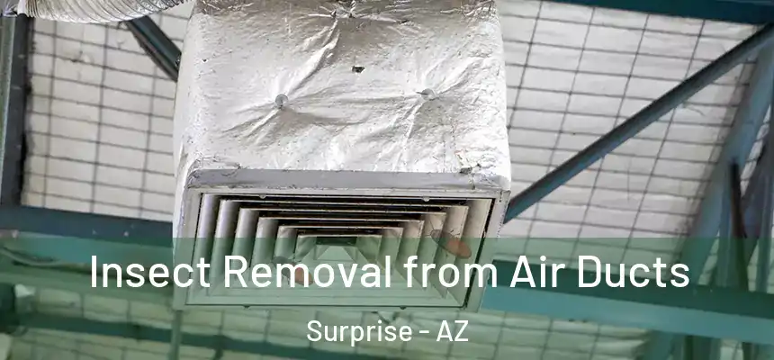 Insect Removal from Air Ducts Surprise - AZ