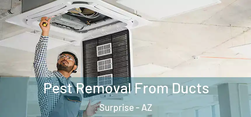  Pest Removal From Ducts Surprise - AZ