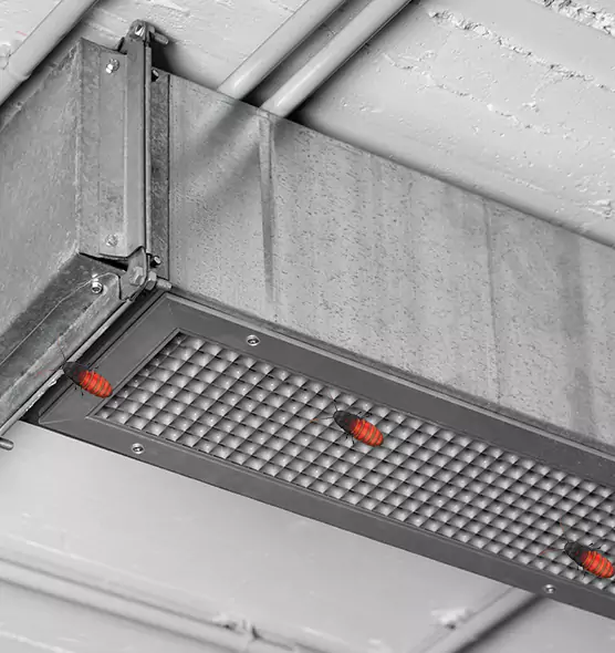 About Air Duct Cockroach Removal in Surprise, AZ