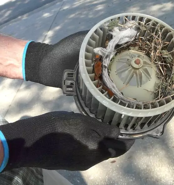 About Air Duct Rat Removal in Surprise, AZ