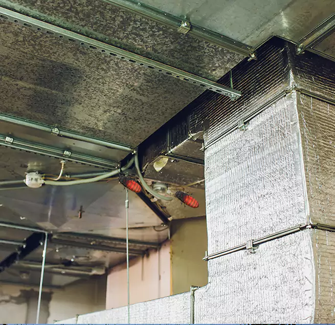 Why Homeowners & Businesses Trust Us in Surprise, AZ?