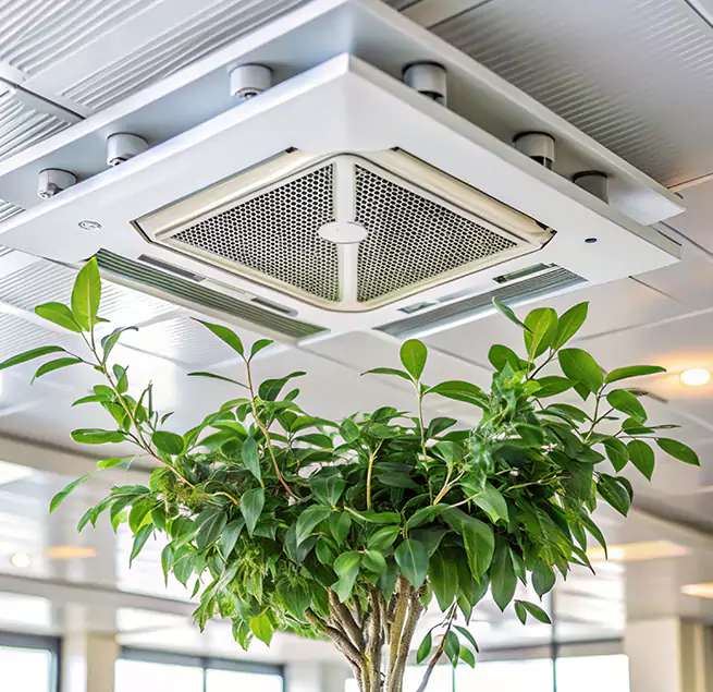 Why Homeowners & Businesses Trust Us in Surprise, AZ?