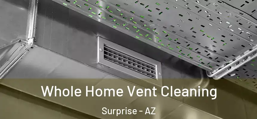  Whole Home Vent Cleaning Surprise - AZ